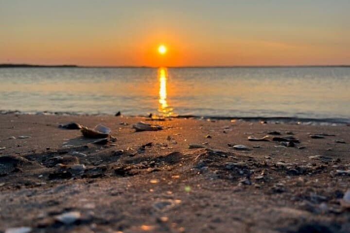 Sunset Dolphin Cruise on Folly River — Morris Island Lighthouse & Salt Marsh Wildlife photo 5