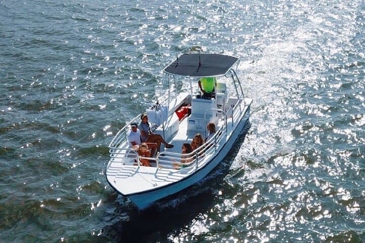 Hilton Head 2-Hour Private Boat Charter: Dolphin Watching and Sandbar Stops photo 2