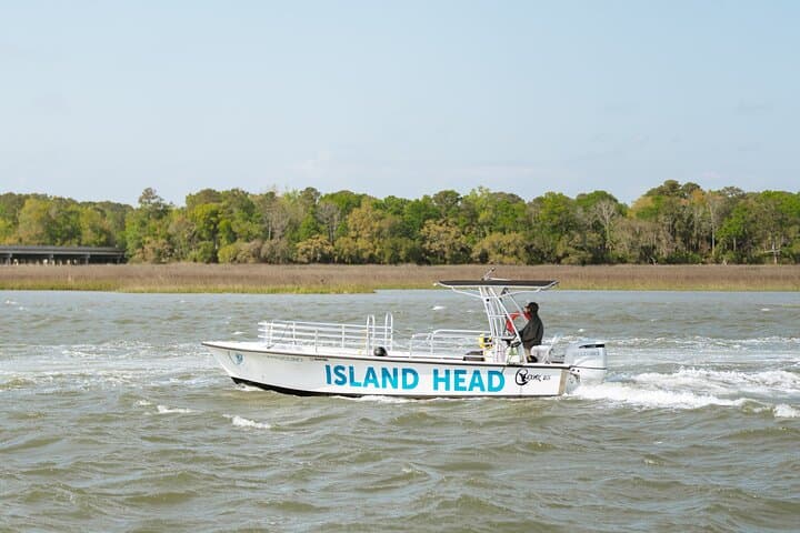 Hilton Head 2-Hour Private Boat Charter: Dolphin Watching and Sandbar Stops photo 3