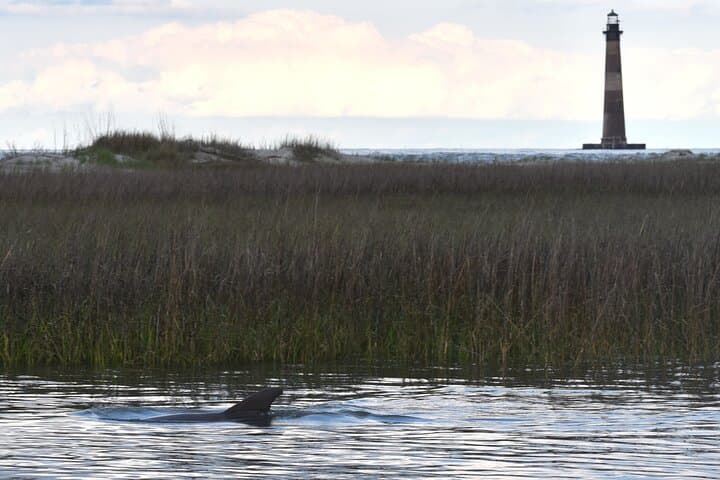 Sunset Dolphin Cruise on Folly River — Morris Island Lighthouse & Salt Marsh Wildlife photo 6