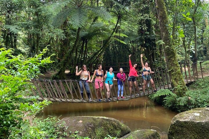 Atlantic Forest Birdwatching Hike from São Paulo — Day Tour to Tapiraí photo 4