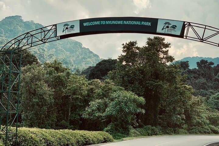 Kigali to Nyungwe Private Day Tour: Chimp Trek, Canopy Walk & Rainforest Hikes photo 2