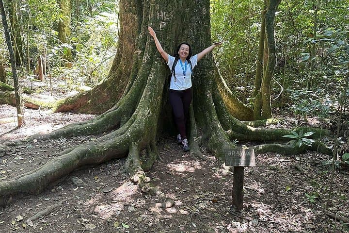 Cantareira Park Eco Tour: Atlantic Forest Hike, Waterfall & Pedra Grande View photo 1