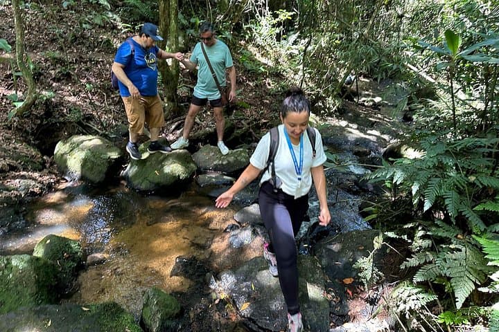 Cantareira Park Eco Tour: Atlantic Forest Hike, Waterfall & Pedra Grande View photo 3