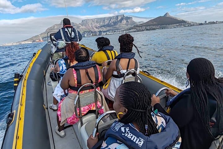 Cape Town Ocean Safari: 1-Hour Marine Wildlife Cruise from V&A Waterfront