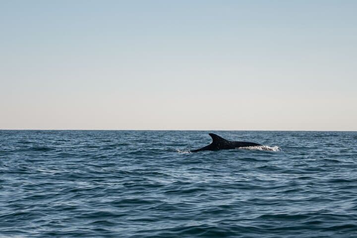 Cinque Terre Private Morning Boat Tour with Snorkeling & Aperitif photo 4