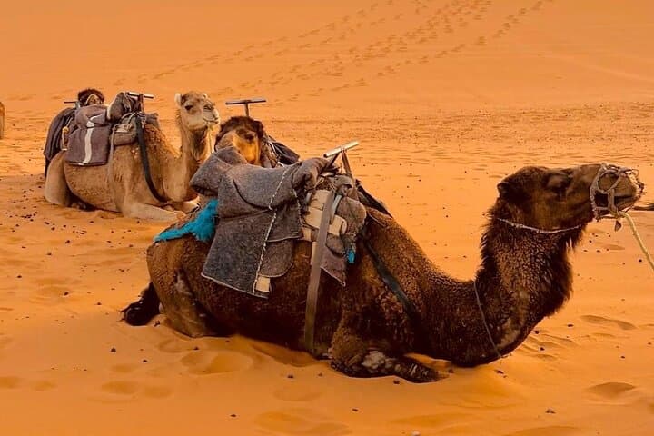 Marrakech to Merzouga 3-Day Desert Tour | Camel Ride, Dunes & Kasbahs photo 3