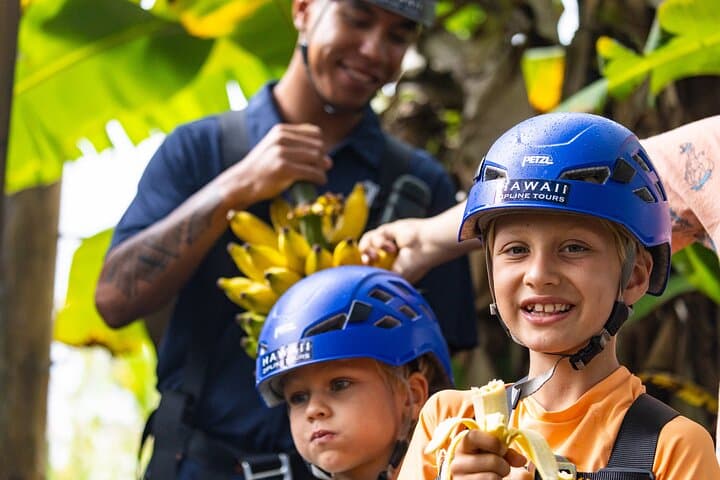 Big Island Zipline Over Kolekole Falls: 7-Line Zip Adventure Near Akaka Falls photo 5
