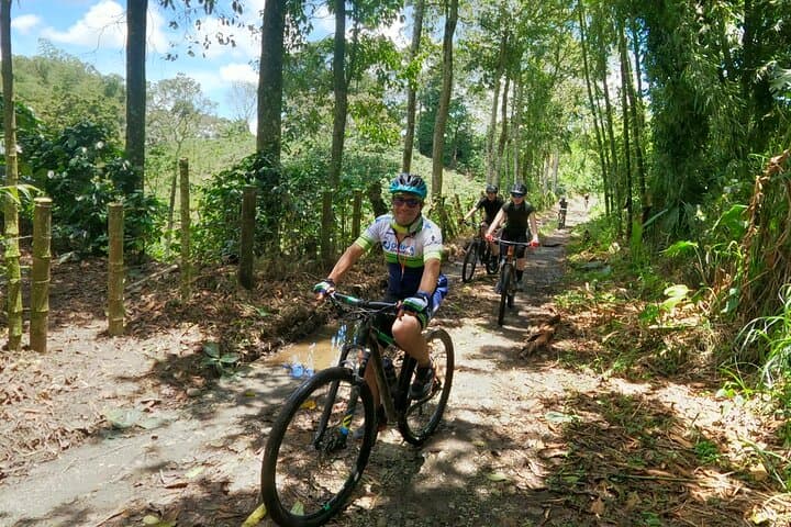 Mountain Biking the Coffee Region: Andes Ride from Pereira