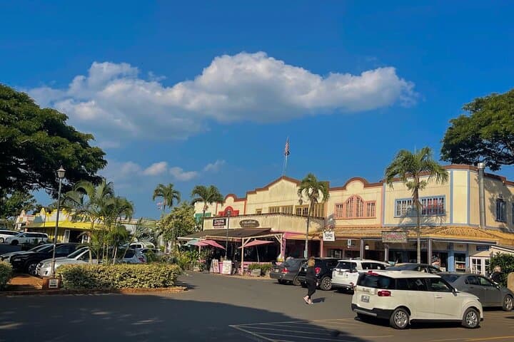 Oahu North Shore Private Tour: Waimea Falls, Dole Plantation & Turtle Beaches photo 2