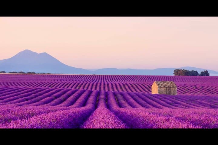 Lavender & Verdon Gorge Day Tour from Nice — Valensole Fields, Castellane & Moustiers