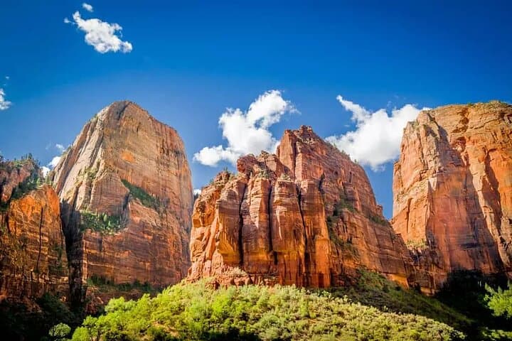 Zion National Park Full-Day Insider Tour: Narrows, Emerald Pools & Riverside Walk photo 3