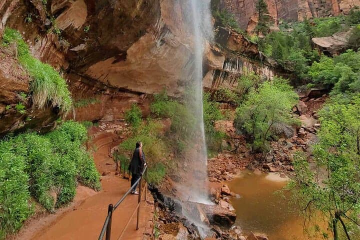Zion National Park Full-Day Insider Tour: Narrows, Emerald Pools & Riverside Walk photo 4