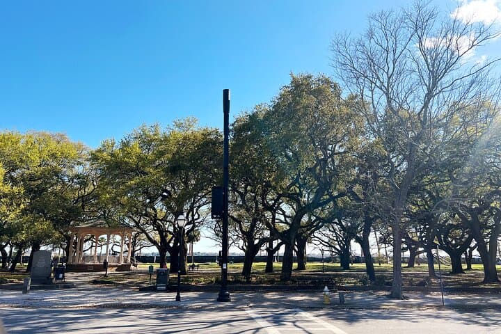 Charleston in Comfort: Luxury Sprinter Small-Group City Tour photo 3