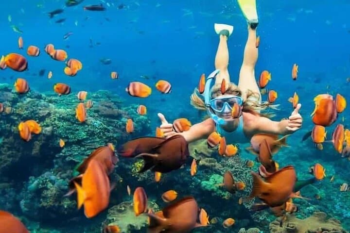 Half-Day Blue Lagoon & Tanjung Jepun Snorkeling — Padangbai, Bali photo 4