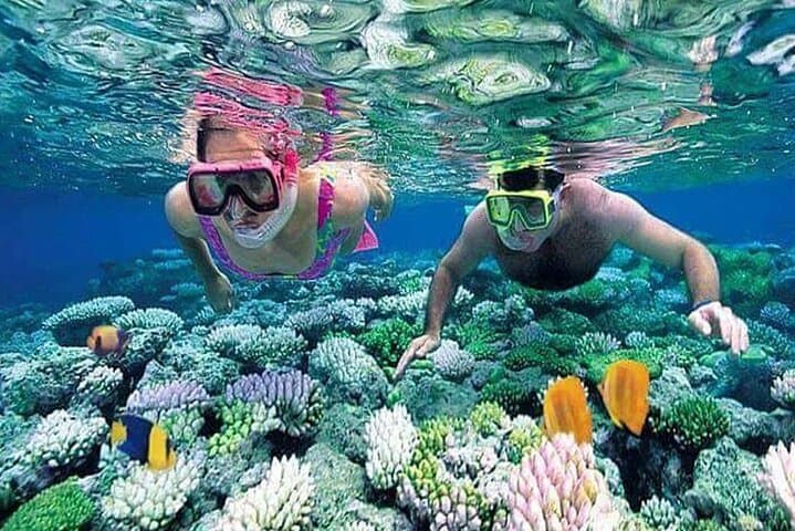 Half-Day Blue Lagoon & Tanjung Jepun Snorkeling — Padangbai, Bali photo 6