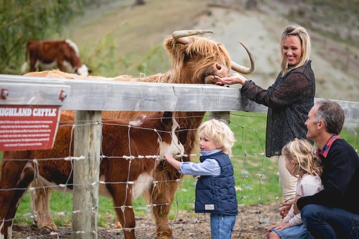 Queenstown Walter Peak Farm Tour and Lake Cruise — Spirit of Queenstown Experience