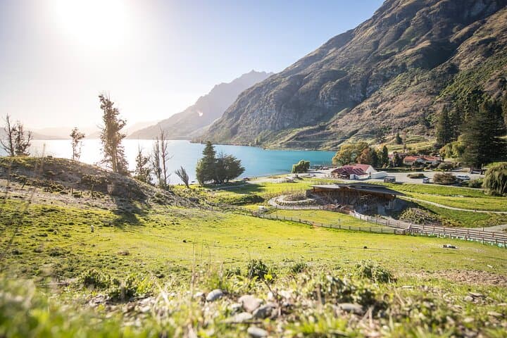 Queenstown Lake Cruise and Walter Peak Farm Adventure photo 2