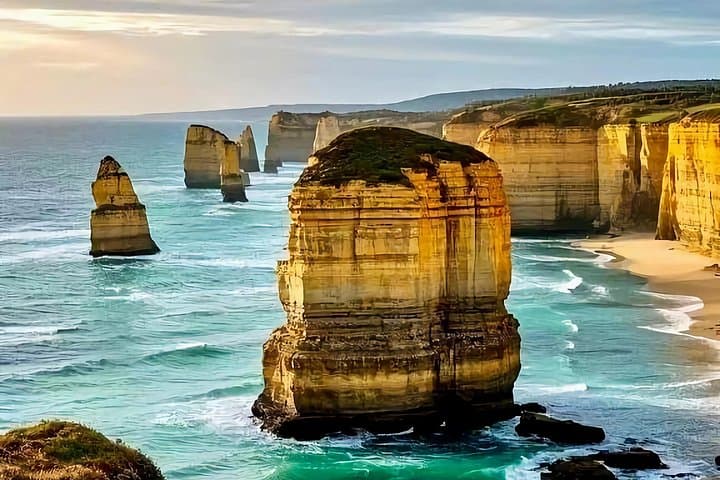 Reverse Great Ocean Road Tour from Melbourne: London Bridge & Twelve Apostles Wildlife photo 2
