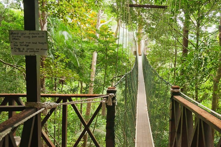 One-Day Jungle Thrill: Taman Negara Day Trip from Kuala Lumpur photo 2