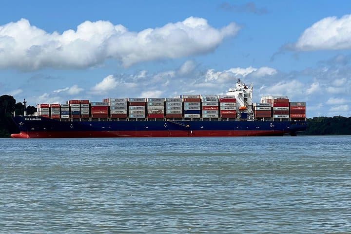 Panama Canal & Monkey Island Tour — Gatun Lake Wildlife and Miraflores Locks Experience photo 4