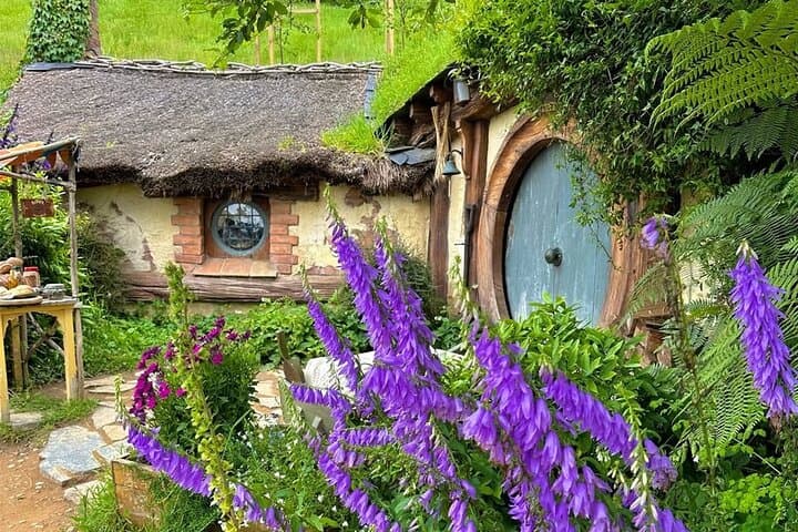 Two-Day Hobbiton, Waitomo & Raglan Private Tour from Hamilton photo 3