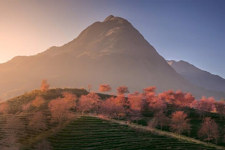 2-Day Sapa Homestay Trek: Majestic Valleys, Hoang Lien Son & Local Life photo 6