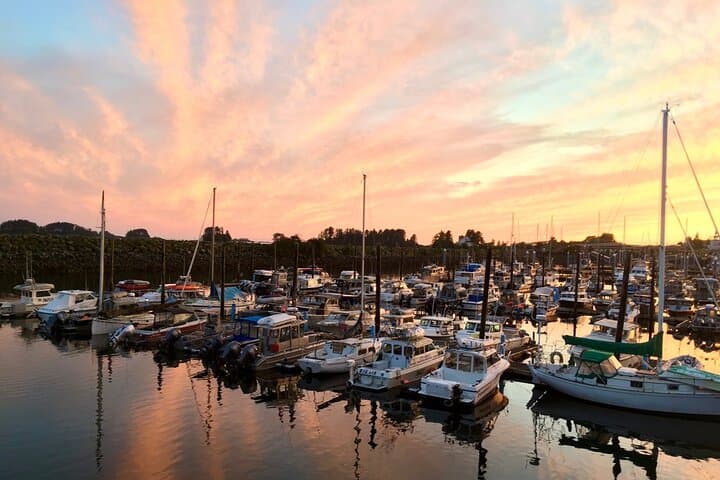 Sitka Sound Private Sunset Cruise: Mt. Edgecumbe & Wildlife photo 4