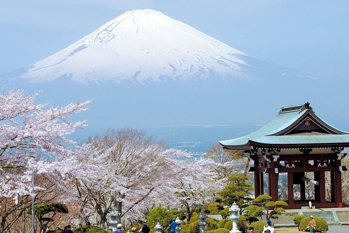 Mt Fuji & Hakone Day Trip from Tokyo: Sky Gondola, Lake Cruise & 5th Station photo 5