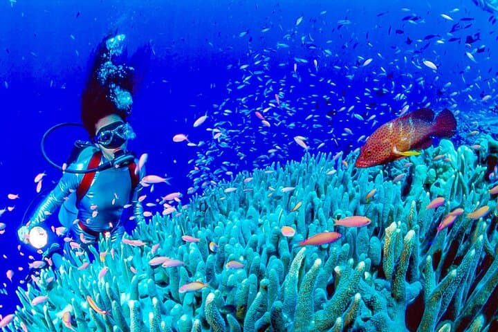 Two-Week Philippines Private Family Tour: Manila to Banaue, Sagada & Boracay photo 2