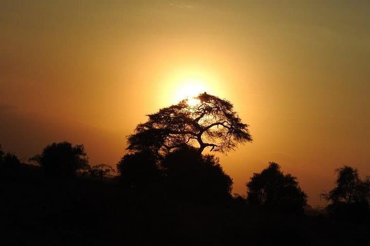 Amboseli Overnight Safari at AA Lodge — 2-Day Game Drives & Kilimanjaro Views photo 2