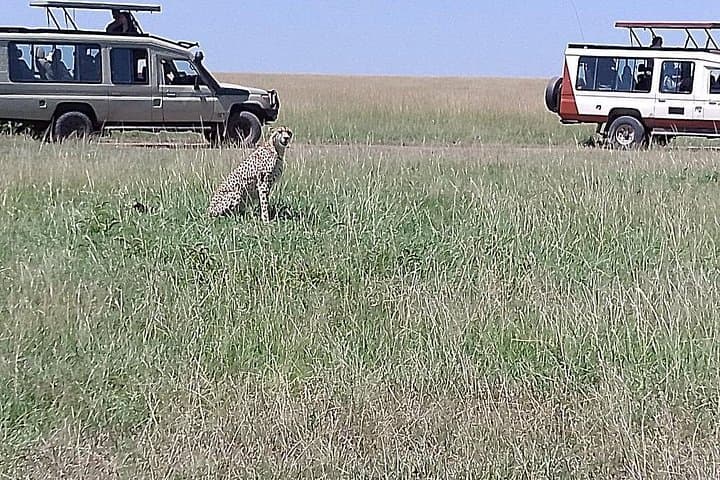 Amboseli Overnight Safari at AA Lodge — 2-Day Game Drives & Kilimanjaro Views photo 3