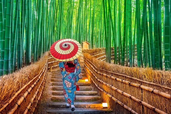 Private 10-Hour Chartered Car Service: Kyoto, Nara & Arashiyama Highlights photo 5