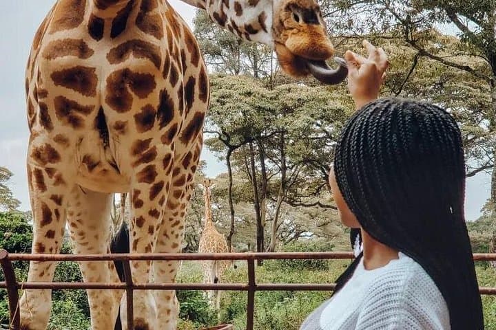 Nairobi Day Trip: Giraffe Centre, Kazuri Beads & Bomas of Kenya