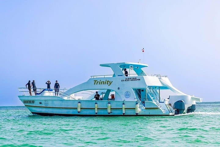 Punta Cana Catamaran Party Cruise — 3-Hour Open-Bar Catamaran in Bavaro photo 6