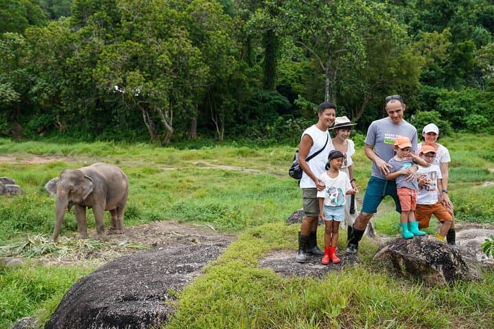 Walk and Feed at Bukit Elephant Park Phuket — Ethical Elephant Encounter & Thai Culture photo 5