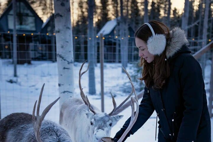 Arctic Forest Hike with Reindeer near Rovaniemi photo 2