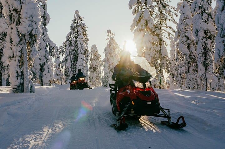 Levi 2-Hour Snowmobile Safari: Arctic Lakes, Forests & Hot Berry Break