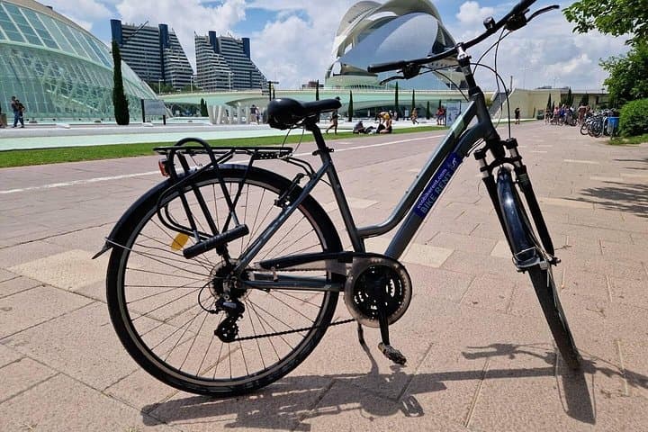 Valencia City Bike Tour — Old Town, Turia Gardens & City of Arts and Sciences photo 4