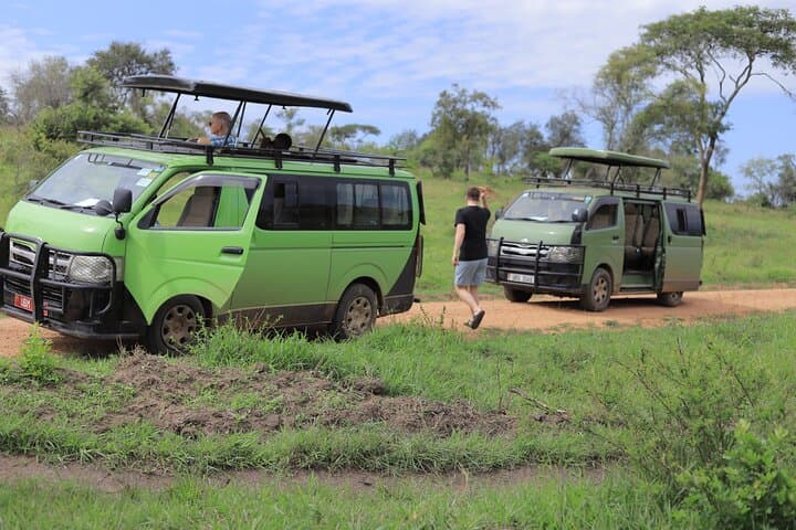 3-Day Gorilla Trekking Tour to Bwindi Forest Uganda — Permits, Lake Bunyonyi & Practical Tips photo 6