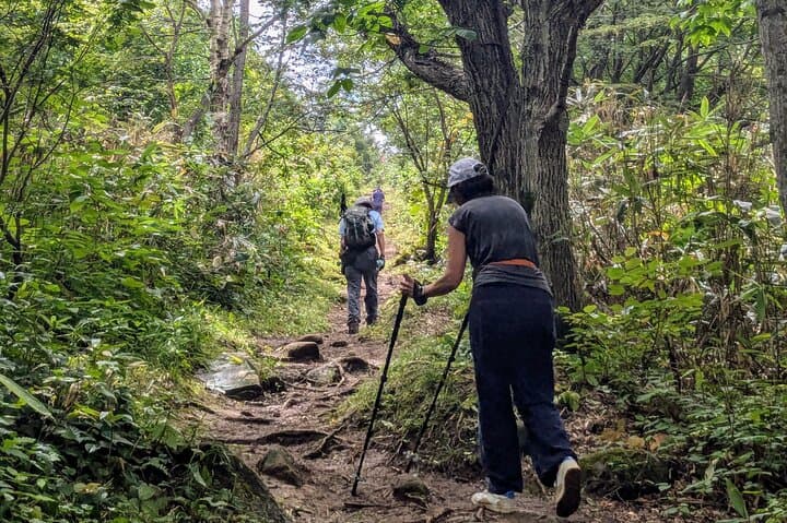 Shioya Maruyama Guided Hike: Ocean Views, Mt. Yotei & Summit Snacks