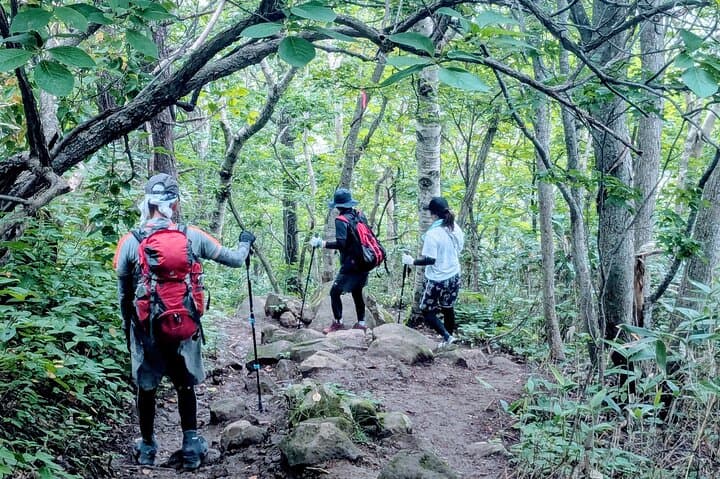 Shioya Maruyama Guided Hike: Ocean Views, Mt. Yotei & Summit Snacks photo 3