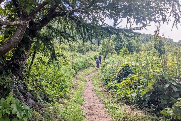 Shioya Maruyama Guided Hike: Ocean Views, Mt. Yotei & Summit Snacks photo 4