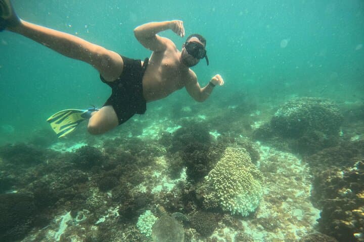 Dimaniyat Islands Snorkeling Day Trip from Muscat — Pristine Reefs & Turtle Encounters photo 2