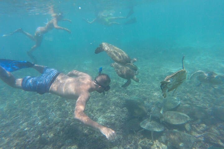 Dimaniyat Islands Snorkeling Day Trip from Muscat — Pristine Reefs & Turtle Encounters photo 4