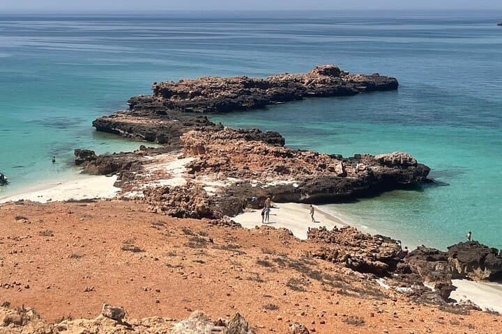 Dimaniyat Islands Snorkeling Day Trip from Muscat — Pristine Reefs & Turtle Encounters photo 5