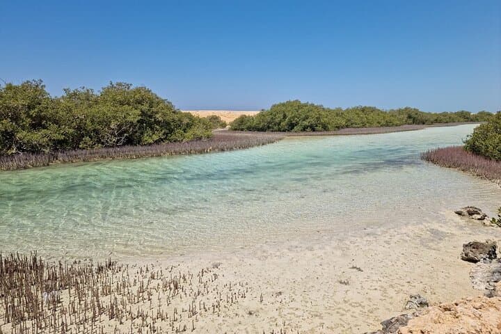 Ras Mohamed Snorkeling Tour from Sharm El Sheikh — Full-Day Trip to White Island & Red Sea Reefs photo 6