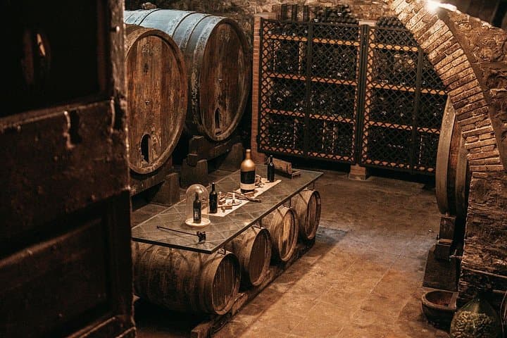 Organic Winery Tour and Tasting at Fattoria Lavacchio, Tuscany photo 3