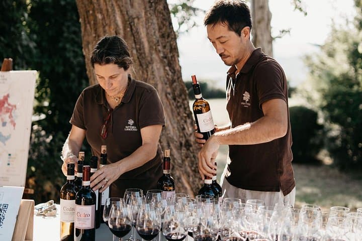 Organic Winery Tour and Tasting at Fattoria Lavacchio, Tuscany photo 4
