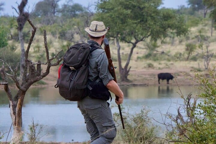 Half-Day Walking Safari in Balule Game Reserve — Greater Kruger Walking Safari